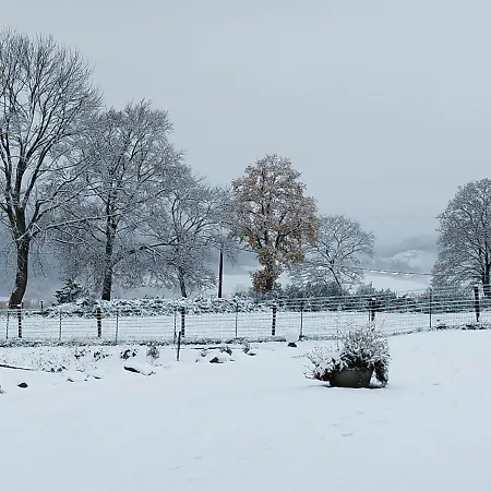 Au Louis D'or, Pour 6 Personnes , *