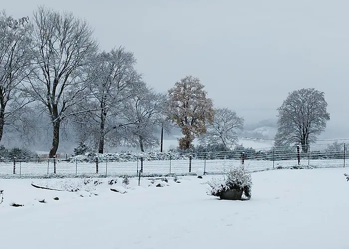 Au Louis D'or, Pour 6 Personnes , *
